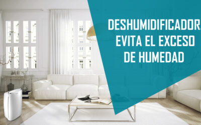 ► DESHUMIDIFICADOR, LA SOLUCIÓN ANTE LA HUMEDAD